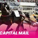 Capital Mail inbjuden till Elitloppet ny capital mail 1920x1080 1 1440x810 jpg