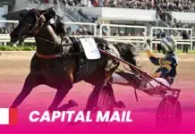 Capital Mail inbjuden till Elitloppet ny capital mail 1920x1080 1 1440x810 jpg