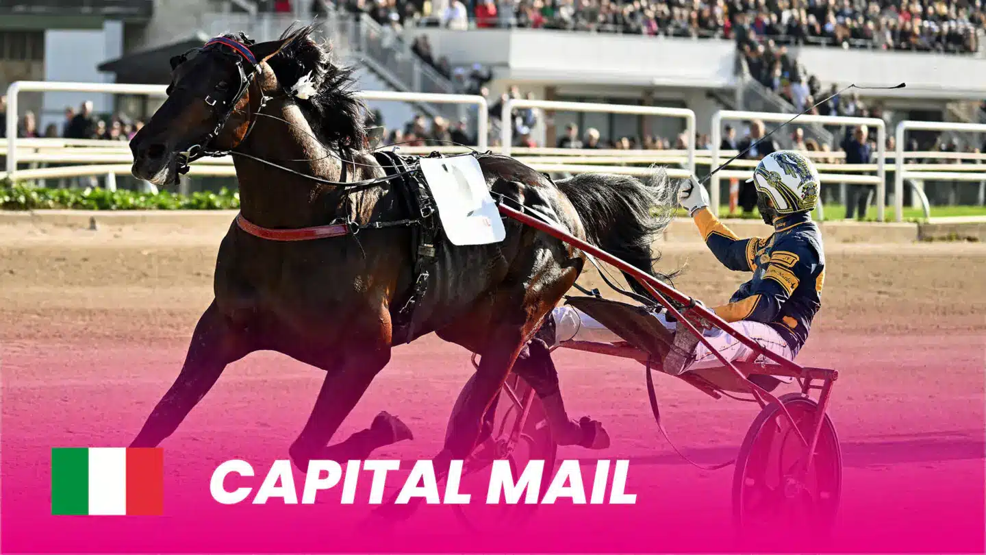 ny capital mail 1920x1080 1 1440x810 jpg