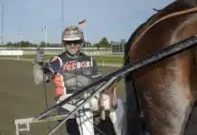 Inför V75 (jackpot): Skrällspecialistens favoritomgång oskar kylin blom segergest bakom denarius 1440x893 jpg