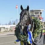 V75 Resultat Umåker: Wäjerstens stjärna klar för Elitloppet umaker 240511 borups victory daniel wajersten krans 1440x960 jpg