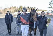 Inför V75 (lördag): Fredde B har en ny vinnarhäst – ”Portofino har styrkan som sitt främsta vapen” umaker 240511 portofino fredrik b larsson pris 1440x960 jpg