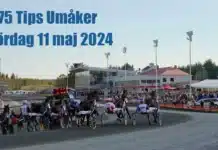V75 & DD Tips + Unik statistik inför V75 UMÅKER 11 maj 2024 v75tipsetumaker kopiera