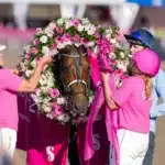 Elitloppsvinnaren mot Prix d’Amérique-vinnaren elitloppsvinnaren mot prix d’amérique vinnaren