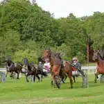 Trav på galoppbanan trav på galoppbanan