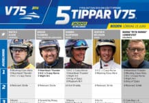 Fem tippar V75 till Boden 15 juni 2024 fem tippar v75 v24 1 scaled