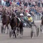 Gidde Palema har gått ur tiden gidde palema elitloppet 2004 2 1440x954 jpg