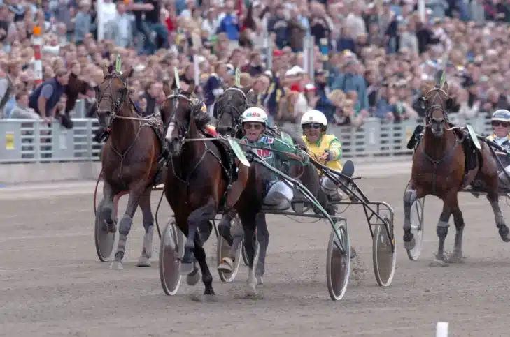 gidde palema elitloppet 2004 2 1440x954 jpg