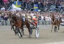 Inför Oslo Grand prix: ”Siktat mot det här loppet en längre tid” iceland falls mal 1440x957 jpg