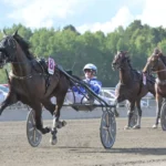 Inför V75: ”Hoppas att han gör sitt livs lopp” magic in mal 1440x823 jpg