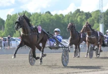 Inför V75: ”Hoppas att han gör sitt livs lopp” magic in mal 1440x823 jpg