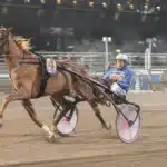 Inför V75 (jackpot): Allt väl med segermaskinen – ”Känns jättefin” relevant stride mal 1440x861 jpg
