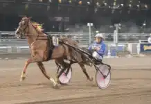 Inför V75 (jackpot): Allt väl med segermaskinen – ”Känns jättefin” relevant stride mal 1440x861 jpg