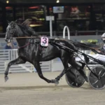V75 & DD Tips + Intervju med Adrian Kolgjini inför V75 Mantorp 1 juni 2024 savastano 1440x984 jpg