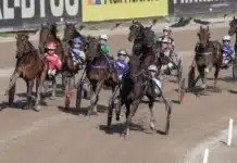 Inför V75: Jackpot med nytt huvudlag solvalla kurv framifran smile silvio och peter untersteiner vinne 1440x838 jpg