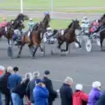 V86 statistik: Tuff körning och höga odds på Vaggeryd vaggeryd publik 93 1440x912 jpg