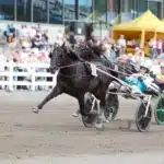 Bara blågult när Don Fanucci Zet vann på 1.08,7 i Mikkeli don fanucci zet vann i mikkeli