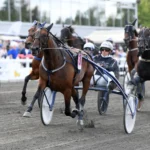 Tre spännande ston till Daniel Wäjersten tre spännande ston till daniel wäjersten