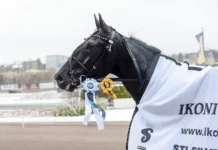 Inför V75 (tisdag): Räkna med ”Borre” i Åbergs borups victory med segerrosetter 1440x984 jpg
