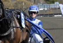 Inför V75 (torsdag): Daniel jagar första segern i Sprintermästaren daniel wajersten i sulky 1440x1029 jpg