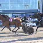 Inför V75 (söndag): Gundersen har luringen: ”Räknas som en stor outsider” devilish hill mal 1440x884 jpg