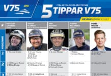 Fem tippar V75 till Årjäng 13 juli 2024 fem tippar v75 v28 korr2 scaled
