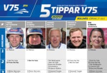 Fem tippar V75 till Bollnäs 27 juli 2024 fem tippar v75 v30 2 scaled