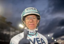Inför V75 (tisdag): Kihlström kan vinna Åbergs för femte året i rad orjan kihlstrom tummen upp 1440x959 jpg