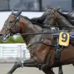 Inför V86 (jackpot): San Moteur genrepar – med ny racerbalans san moteur i lopp 2 1440x993 jpg