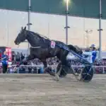 Sveriges hetaste häst avstår Åby World Grand Prix borups victory malgang2 1440x960 jpg