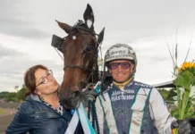 Inför V75 (drömjackpot): Elkes klassklättrare på kurs mot femte raka enjoy the moment prisutdelning 720x480 jpg