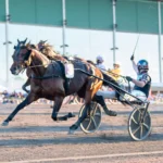 Inför V75 (jackpot): Jerry tror Far Wise As kan gå mycket långt far wise as malgang 1440x960 jpg