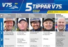 Fem tippar V75 till GÄVLE 17 augusti 2024 fem tippar v75 v33 1 scaled