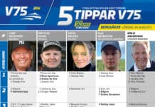 Fem tippar V75 till Bergsåker 24 augusti 2024 fem tippar v75 v34 2 scaled