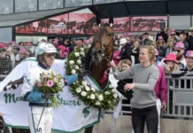 Inför V75 (onsdag): Redén rycker skorna på favoriten orjan kihlstrom double deceiver och ellinor wennebring 1440x1024 jpg