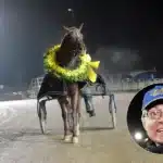 Inför V75: Strömberg hoppas på björnstark kandidat starstrucked med hans r stromberg jpeg