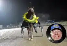 Inför V75: Strömberg hoppas på björnstark kandidat starstrucked med hans r stromberg jpeg
