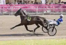 Inför V86 (jackpot): Viktor är segerviss med sin ögonsten urbina southwind heat 2 1440x960 jpg