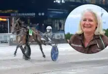 Inför V86 Solvalla 4 september 2024: Rexhammar har väntat in vindsnabba Can Can can can broline hanna rexhammar 720x415 jpg