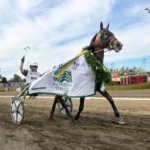 Norsk triumf i Derbystoet daim brodda segerdefilerar 720x512 jpg