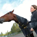 Inför V75 (söndag): Livet med den egensinnige derbyfavoriten fame and glory 1 720x480 jpg