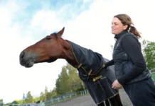 Inför V75 (söndag): Livet med den egensinnige derbyfavoriten fame and glory 1 720x480 jpg