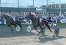 Inför V75 Hagmyren: ”Tycker vi har två skapliga segerchanser” from the hip mal 720x415 jpg