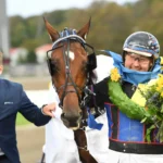 Inför V75 ÅBY: ”Nu blir det jänkarvagn för första gången” kingslayer pellini pris 09 1440x930 jpg