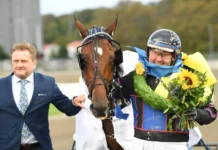 Inför V75 ÅBY: ”Nu blir det jänkarvagn för första gången” kingslayer pellini pris 09 1440x930 jpg