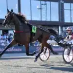 Inför V75 Eskilstuna: Lozano di Quattro redo att ta nästa steg lozano di quattro mal 352 1440x990 jpg