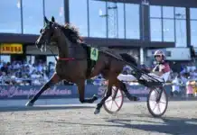 Inför V75 Eskilstuna: Lozano di Quattro redo att ta nästa steg lozano di quattro mal 352 1440x990 jpg