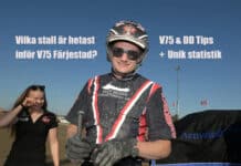 Vilka stall är hetast? Statistik & Tips inför V75 Färjestad markus b svedberg glad efter v75 segern med karma mearas 1440x1000 jpg kopiera