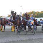 Resultat & Eftersnack V75 Eskilstuna 14 september 2024 mellby jinx mal 1440x873 jpg