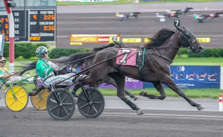 tactical landing jimmy takter 01299 1440x884 jpg